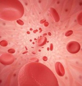 ativa-a-circulacao-sanguinea-0 ativa-a-circulacao-sanguinea-0